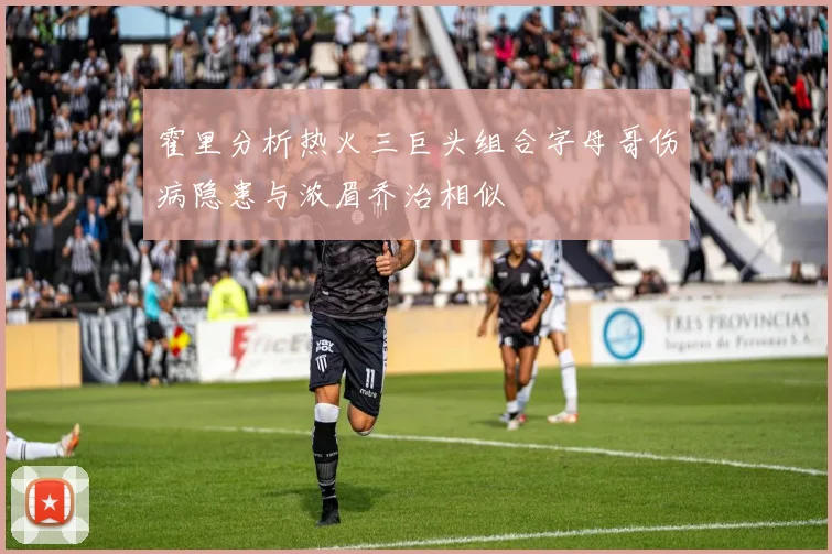 霍里分析热火三巨头组合字母哥伤病隐患与浓眉乔治相似