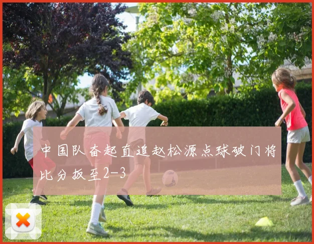 中国队奋起直追赵松源点球破门将比分扳至2-3