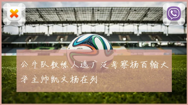 公牛队教练人选广泛考察杨百翰大学主帅凯文杨在列